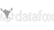 Datafox – EN